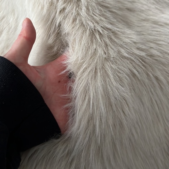 GAP Faux Fur Vest - Picture 6 of 6